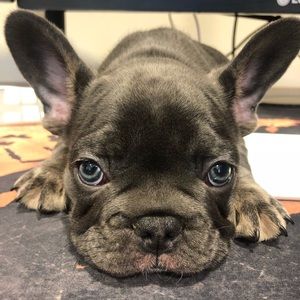 Meet your Posher, Fernando